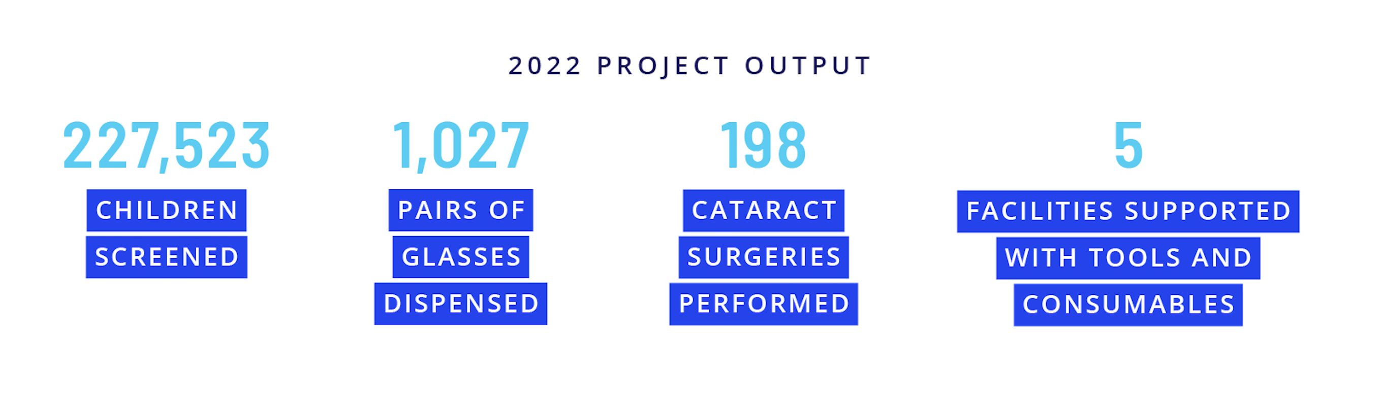 2022 project output